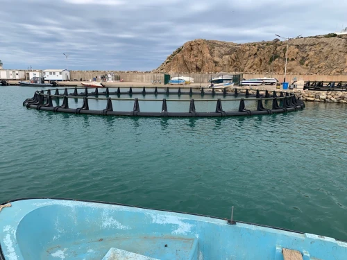 Réalisation des cage élevage sur mer