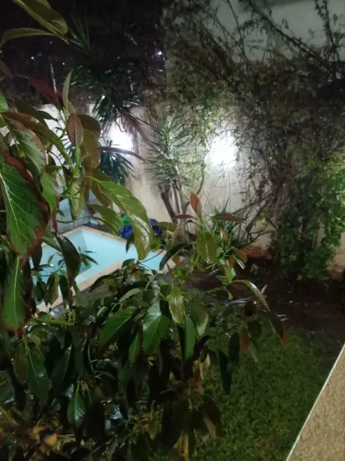 Location vacances Villa Tipaza Fouka