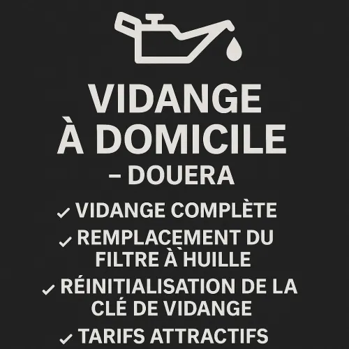 Diagnostic Auto à Domicile Douera - Reprog ECU, EGR OFF, Vidange, Frein 
