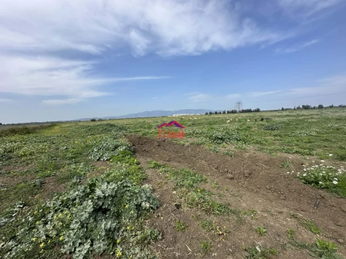 Vente Terrain Agricole Annaba Annaba