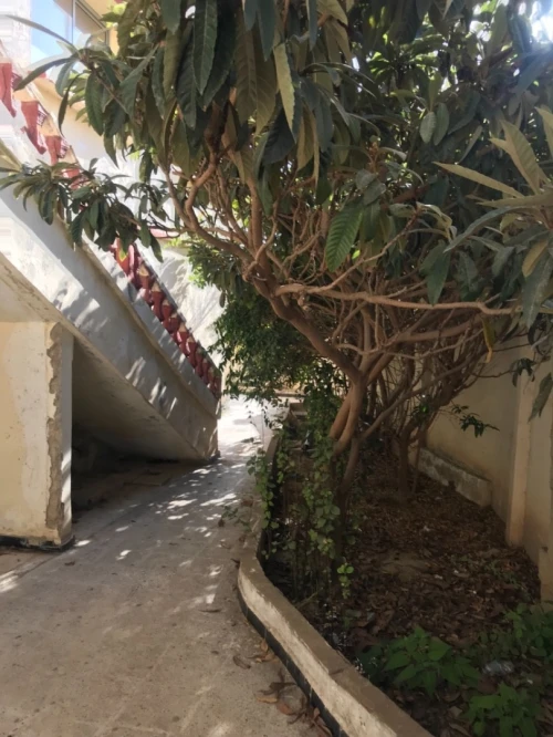 Vente Villa Annaba Annaba
