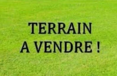 Vente Terrain El Tarf Echatt