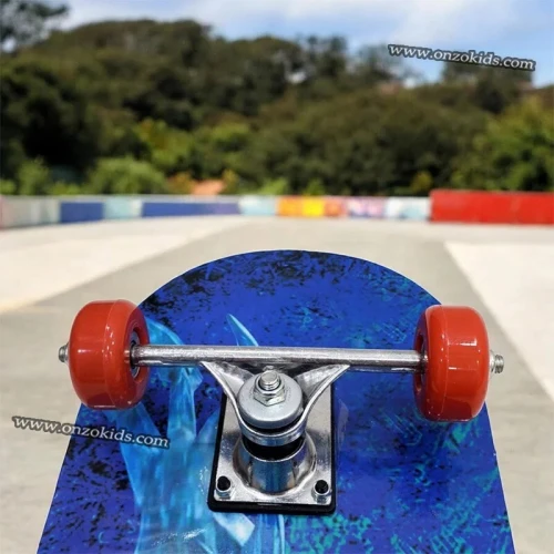 Skateboard, Planche de roulettes en bois pour adulte
