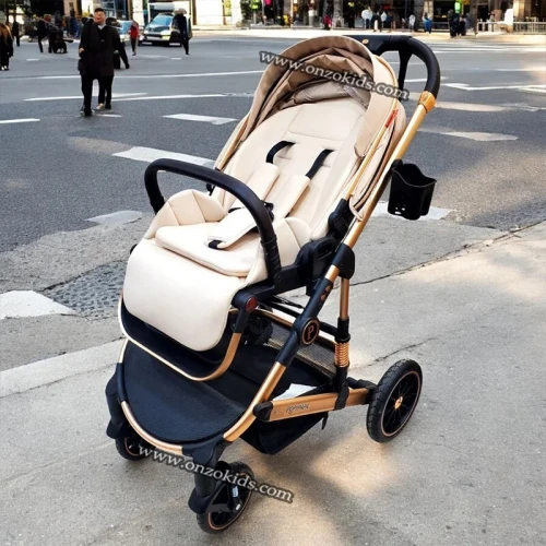 Poussette Rèversible 3 Pièces avec Maxi cosi et sac à Langer-Popypapa