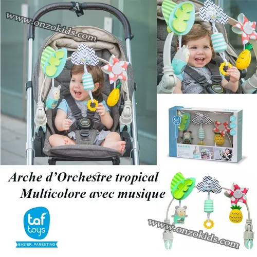 Arche d Orchestre tropical Multicolore avec musique - Taf toys