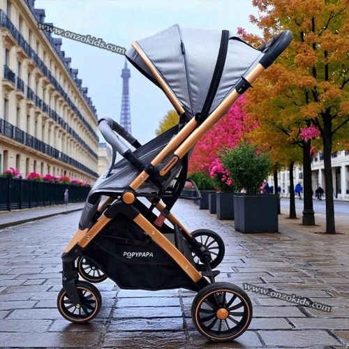 Poussette compacte valise réversible de luxe Vidalia Bronze - Popypapa
