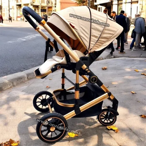 Poussette Rèversible 3 Pièces avec Maxi cosi et sac à Langer-Popypapa