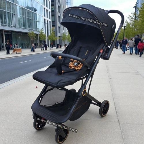 Poussette compacte réversible avec bras ajustable pour voyage-BaoBaohao