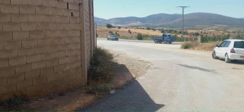 Vente Terrain Tlemcen Ouled mimoun