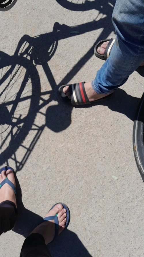 Velo