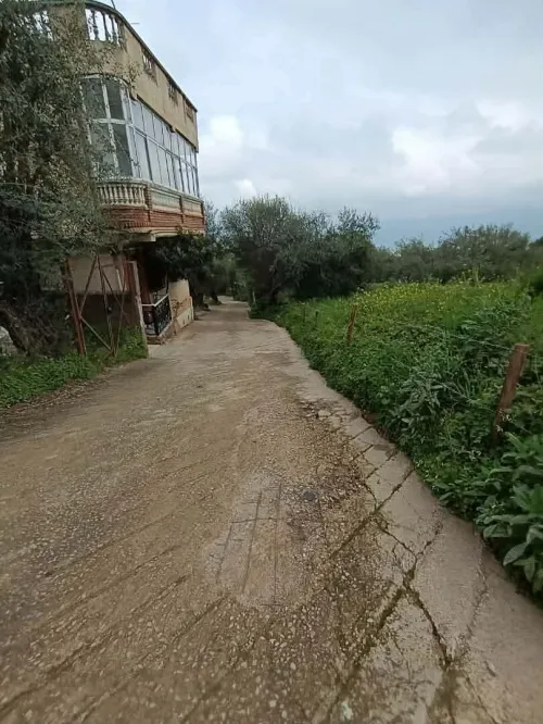 Vente Terrain Tizi Ouzou Mekla