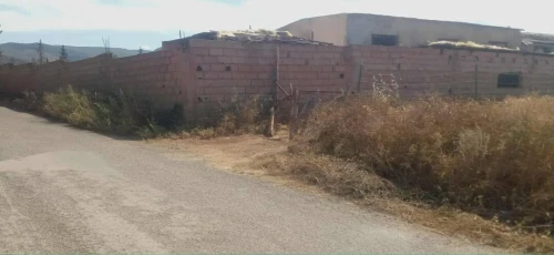 Vente Terrain Tlemcen Ouled mimoun