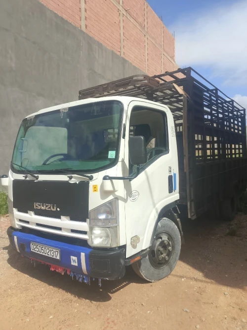 Isuzu Npr 2013