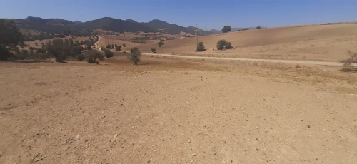 Vente Terrain Blida El affroun