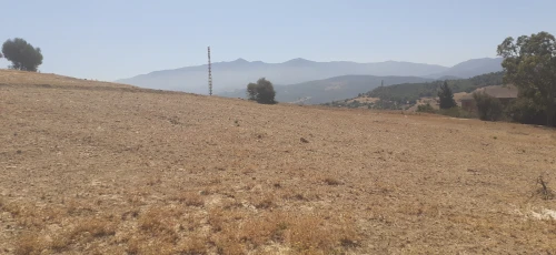 Vente Terrain Blida El affroun