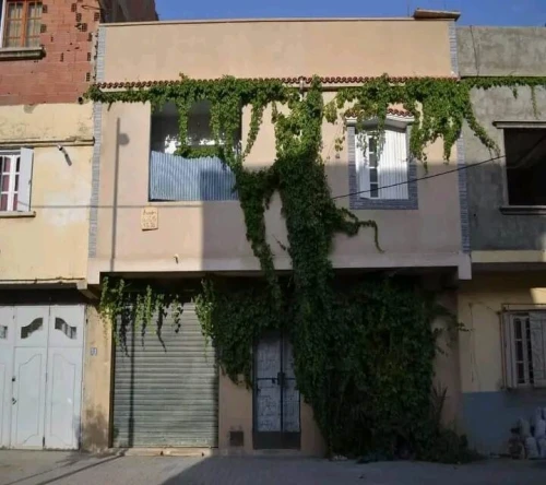 Vente Villa Bordj Bou Arreridj El achir