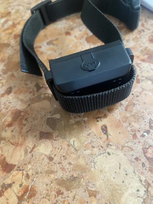 Collier de dressage électrique pour chien