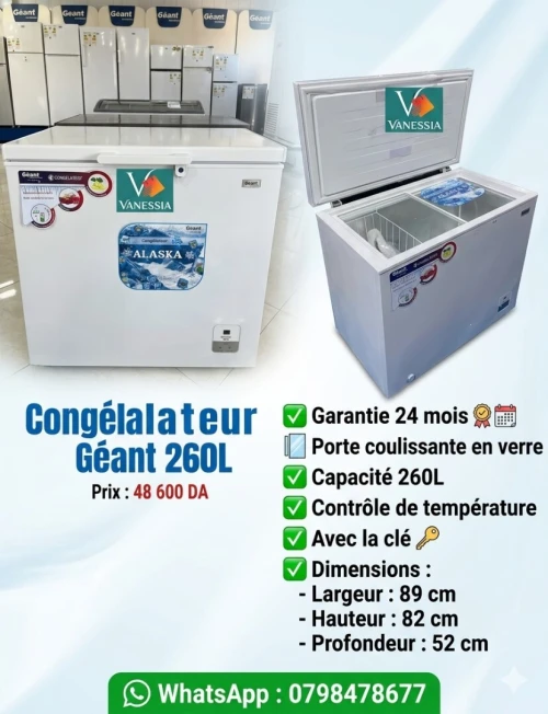 Congélateur géant modèle Alaska 260L