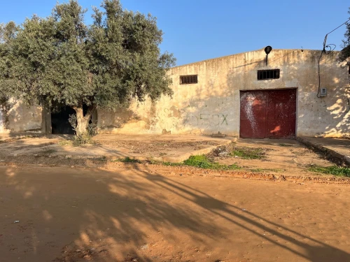 Vente Hangar - Usine Mostaganem Hassi maameche