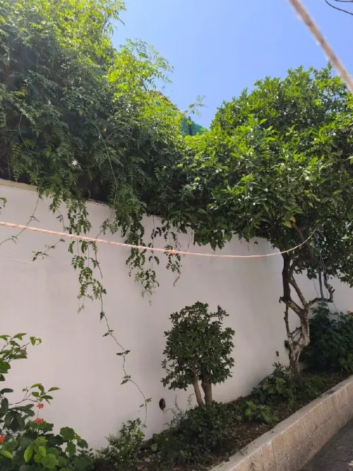 Vente Villa Alger Hussein dey
