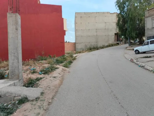 Vente Terrain Tlemcen Tlemcen