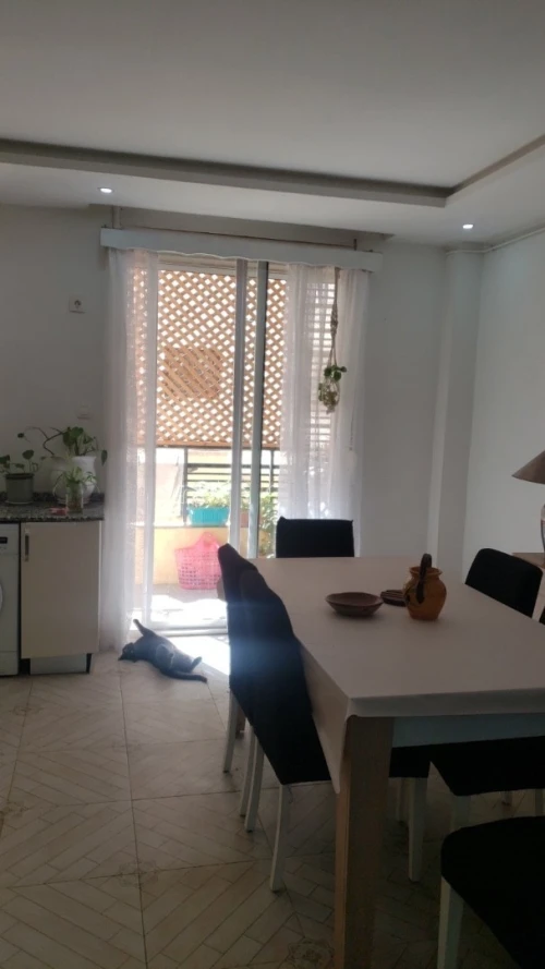Vente Appartement F4 Alger Souidania