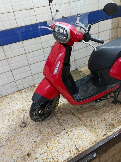 Benneli Panarea 2023
