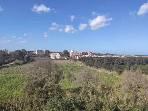 Vente Appartement F4 Boumerdes Boumerdes