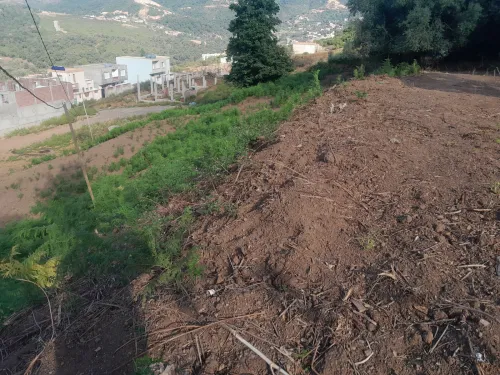 Cherche location Terrain Jijel Texenna