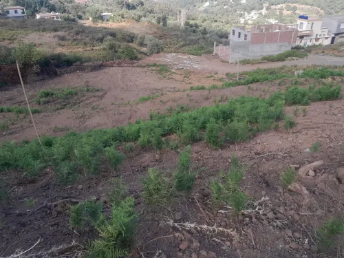 Cherche location Terrain Jijel Texenna