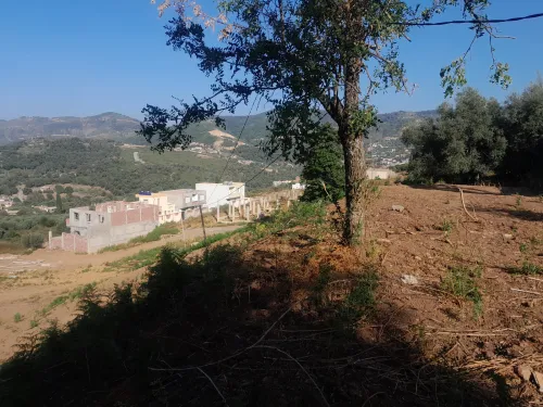 Cherche location Terrain Jijel Texenna