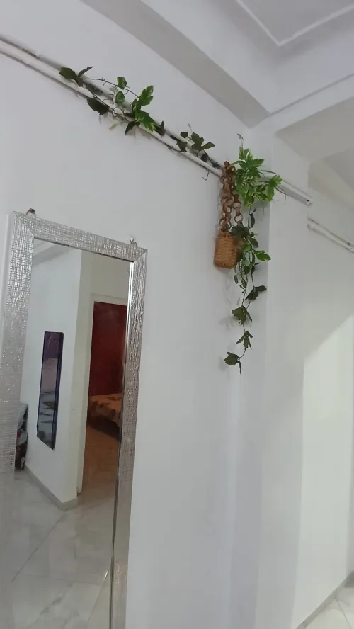 Location vacances Appartement F2 Oran Oran 4