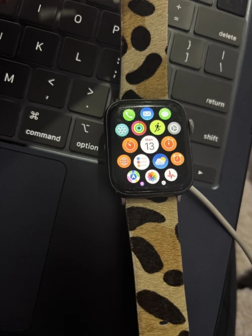 Appel Watch série 4 44mm