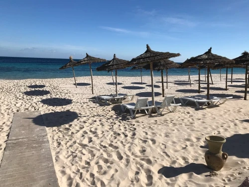voyage organisée tunisie par bus 35000 7jour 6 nuitée PROMO