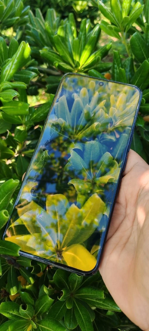 Honor Honor 200
