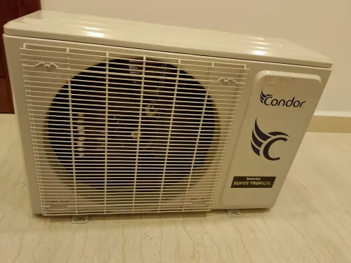 Condor super tropical