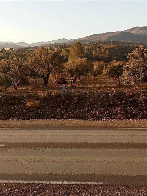 Vente Terrain Bouira Ath mansour taourirt