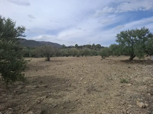 Vente Terrain Bouira Ath mansour taourirt