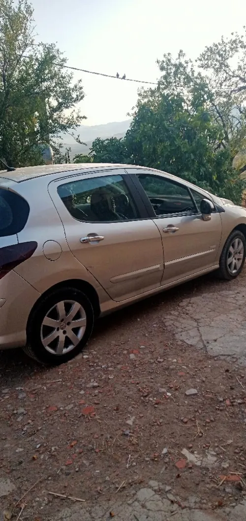 Peugeot 308 2009 Platinum 