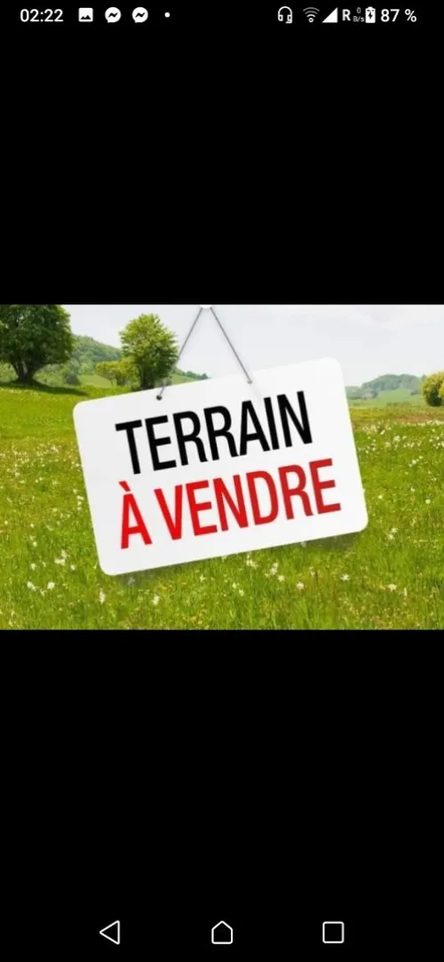 Vente Terrain Blida Chiffa