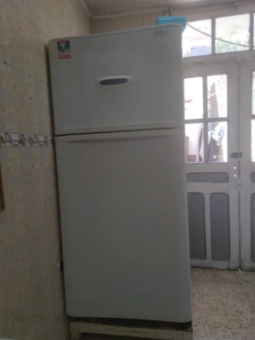 ثلاجة من نوع Frigor