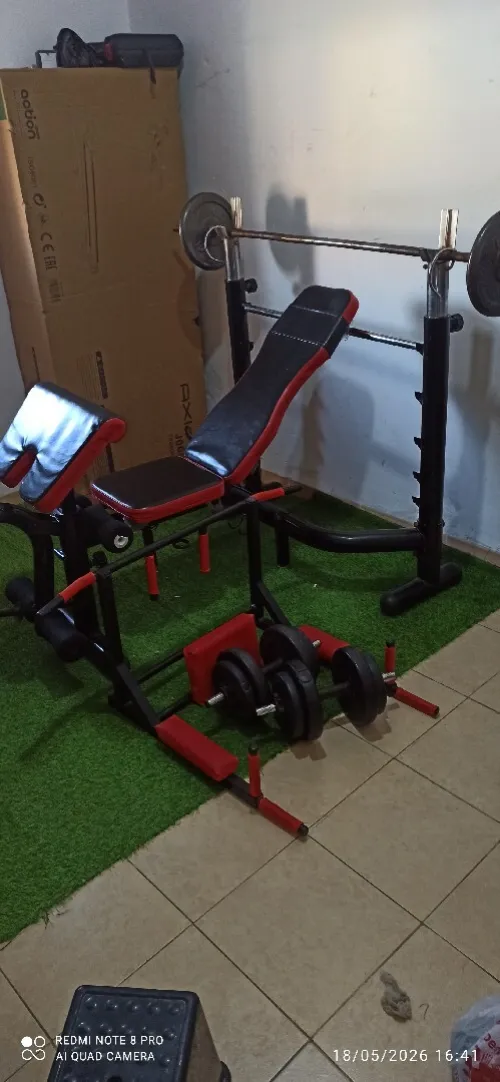Article musculation