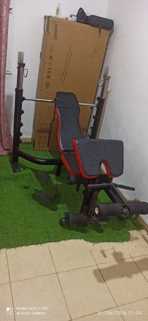 Bank musculation