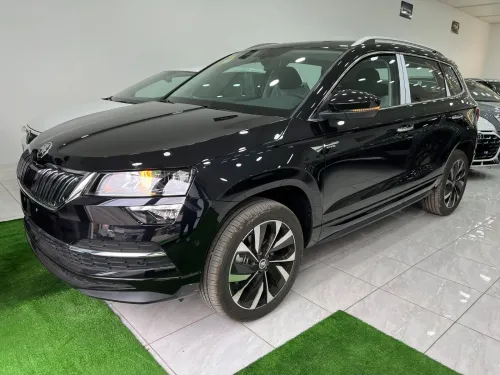 Skoda Karoq 2025 Full options