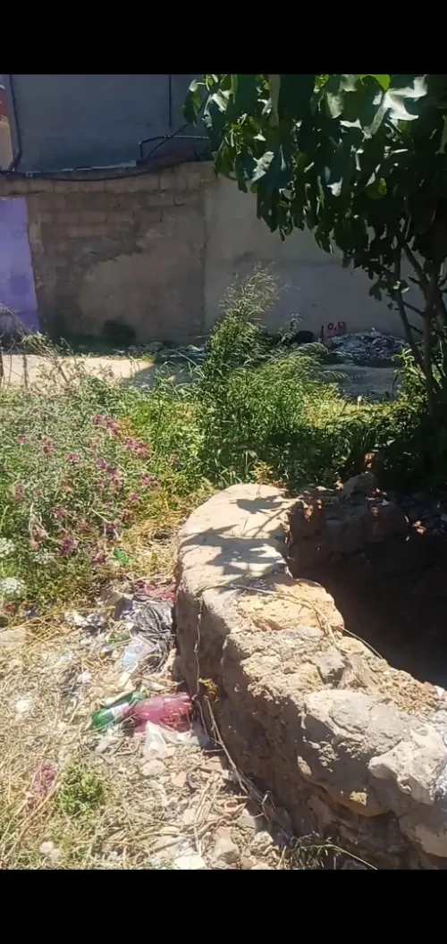 Vente Terrain Tipaza Sidi ghiles