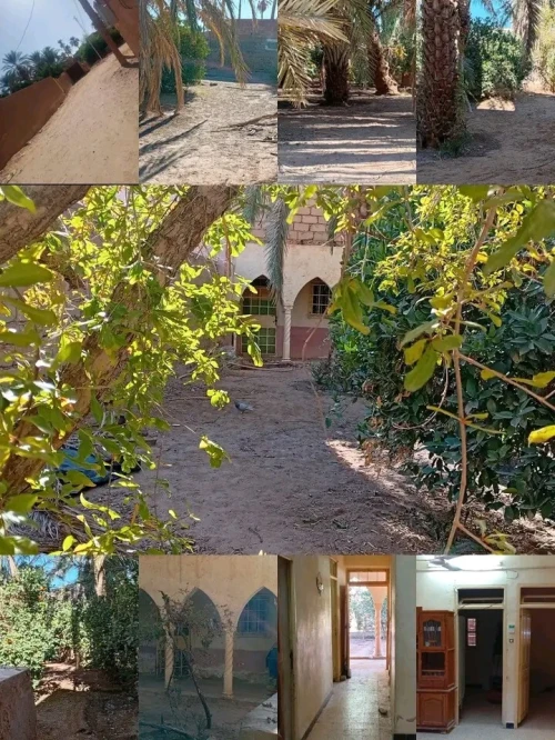 Vente Terrain Agricole Ghardaïa Dhayet bendhahoua