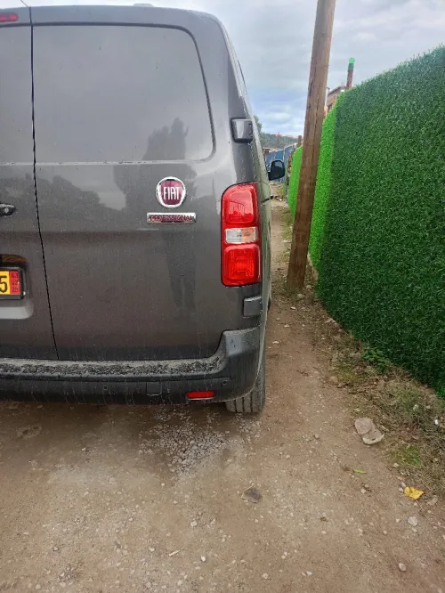 Scudo Italia 2023