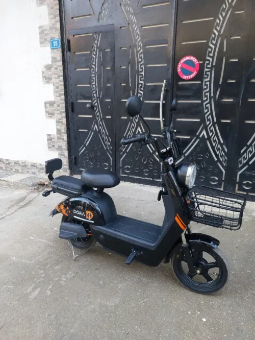 Dora Electrique 2025