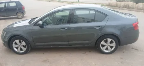 Skoda Octavia 2019 Ambiente