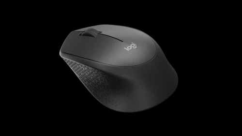 Souris